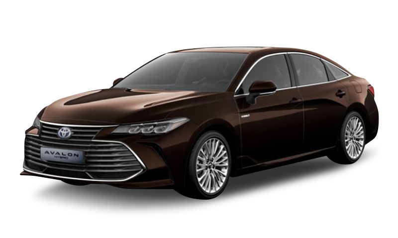 블랙키시 브라운 익스테리어